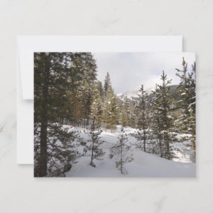 Winter Snowy Mountain Scene in Montana Holiday Card
