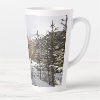 Winter Snowy Mountain Scene in Montana