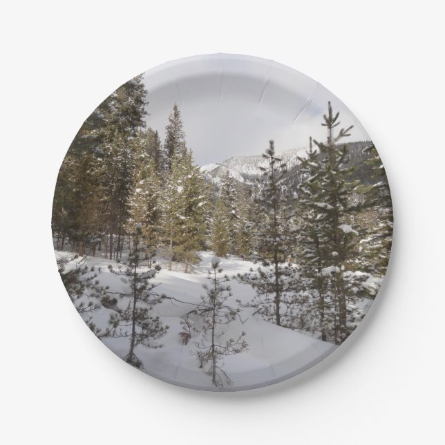 Winter Snowy Mountain Scene in Montana Paper Plate (Front)