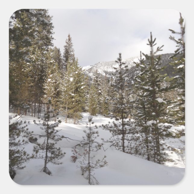Winter Snowy Mountain Scene in Montana Square Sticker (Front)