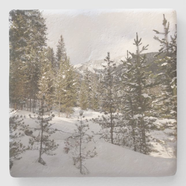 Winter Snowy Mountain Scene in Montana Stone Coaster (Front)