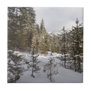 Winter Snowy Mountain Scene in Montana Tile