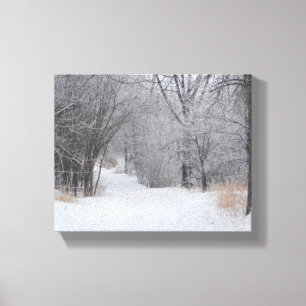 Winter Solitude Canvas Print