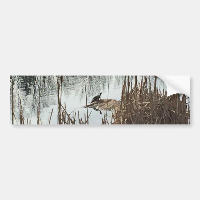 Winter Solstice Bumper Sticker (Front)