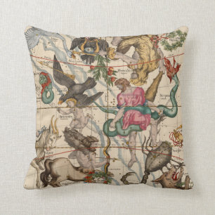 Winter Solstice Cushion