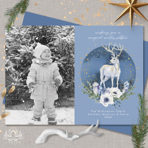 Winter Solstice Holiday Deer Blue Christmas Photo
