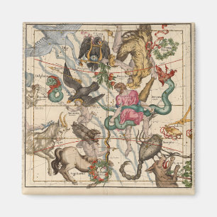 Winter Solstice Magnet