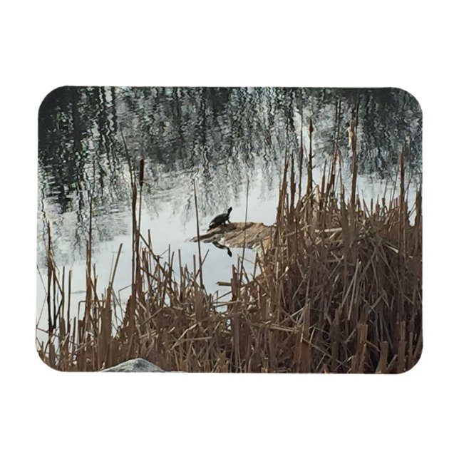 Winter Solstice Magnet (Horizontal)