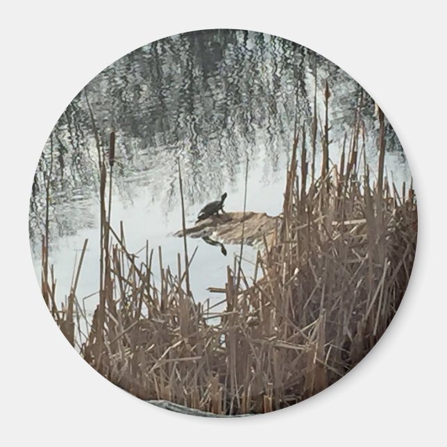 Winter Solstice Magnet (Front)