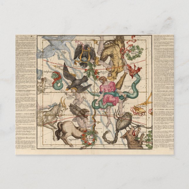 Winter Solstice Postcard (Front)