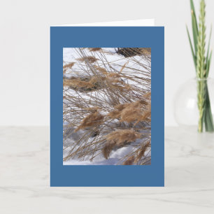 Winter Solstice Wonder Card