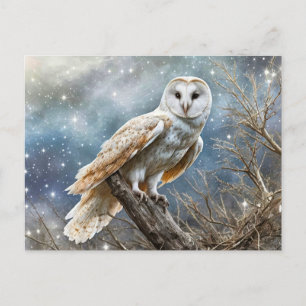 Winter Solstice Yule Magical Owl Enchanted Holiday Postcard