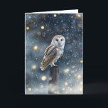 Winter Solstice Yule with Beautiful Owl with Snow  Card<br><div class="desc">Send greetings for the winter solstice! A pretty card,  that has a round faced barn owl on a post with snow and lights.</div>