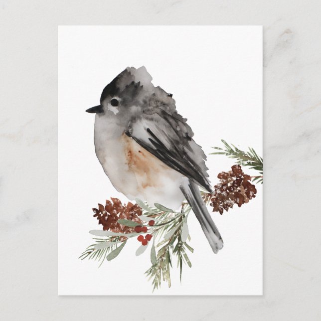 Winter Sparrow Resting On Spruce With Red Berries Postcard (Front)