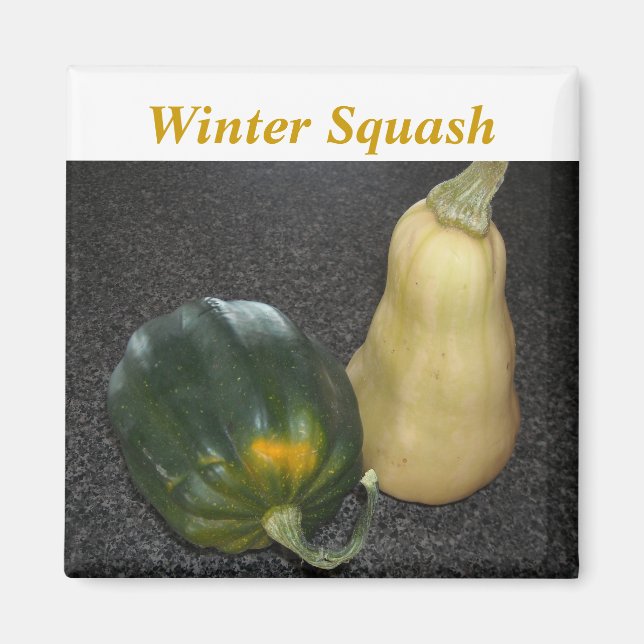 Winter Squash - Acorn and Butternut Magnet (Front)