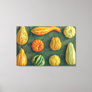 Winter Squash Canvas Print