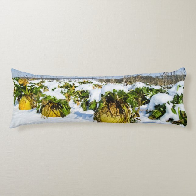 Winter Squash in Snow - Personalised Body Cushion (Front)