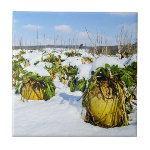 Winter Squash in Snow - Personalised Ceramic Tile