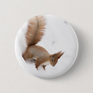 Winter Squirrel 6 Cm Round Badge
