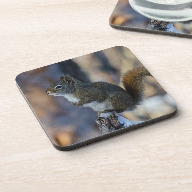 Winter Squirrel, Brown Animal, Canadian Photograph Coaster (Left Side)