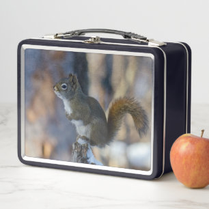 Winter Squirrel, Brown Animal, Canadian Photograph Metal Lunch Box
