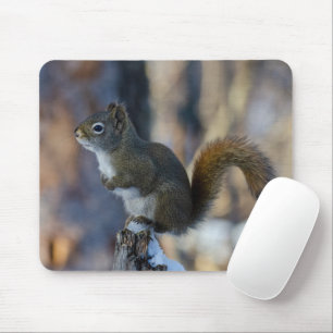 Winter Squirrel, Brown Animal, Canadian Photograph Mouse Mat