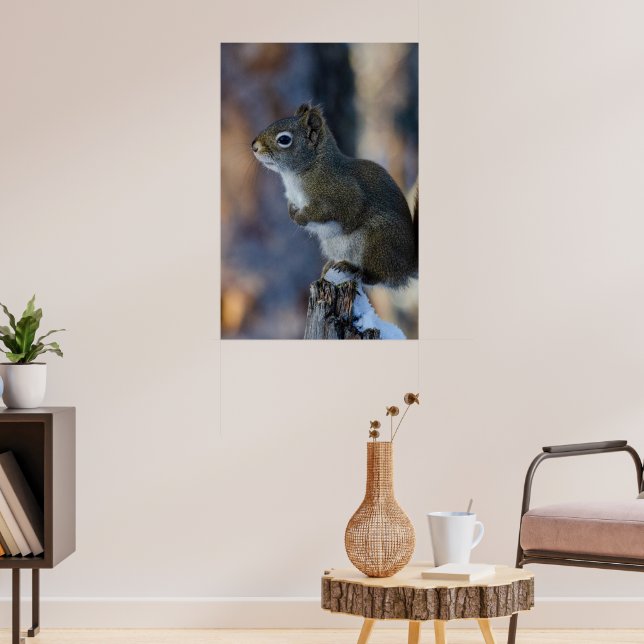 Winter Squirrel, Brown Animal, Canadian Photograph Poster (Living Room 3)