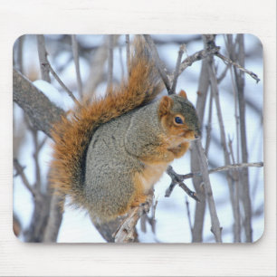Winter Squirrel Mouse Mat