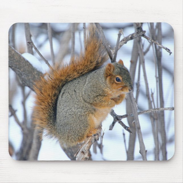 Winter Squirrel Mouse Mat (Front)