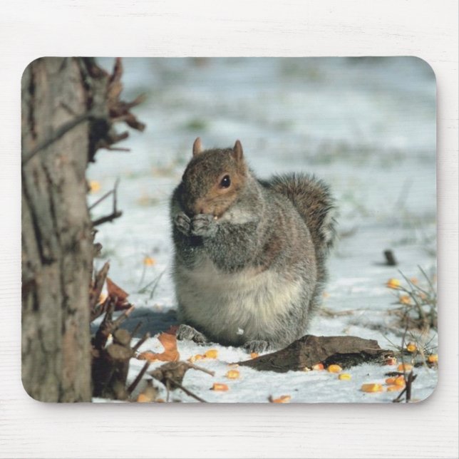 Winter Squirrel Mouse Mat (Front)