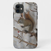 Winter Squirrel, Snow & Red Berries Xmas Design
