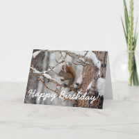 Winter Squirrel, Snow & Red Berries Xmas Design