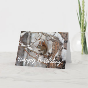 Winter Squirrel, Snow & Red Berries Xmas Design Holiday Card