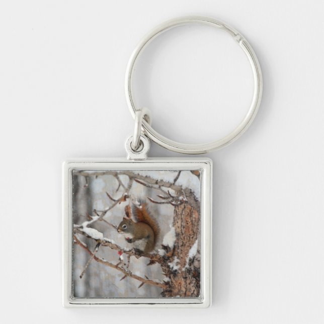 Winter Squirrel, Snow & Red Berries Xmas Design Key Ring (Front)