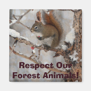 Winter Squirrel, Snow & Red Berries Xmas Design Magnet