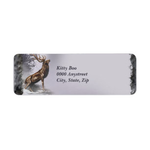 Winter Stag