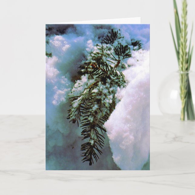 'Winter Still-life'  Holiday Card- Nature's Beauty (Front)