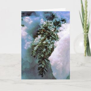 'Winter Still-life'  Holiday Card- Nature's Beauty Card