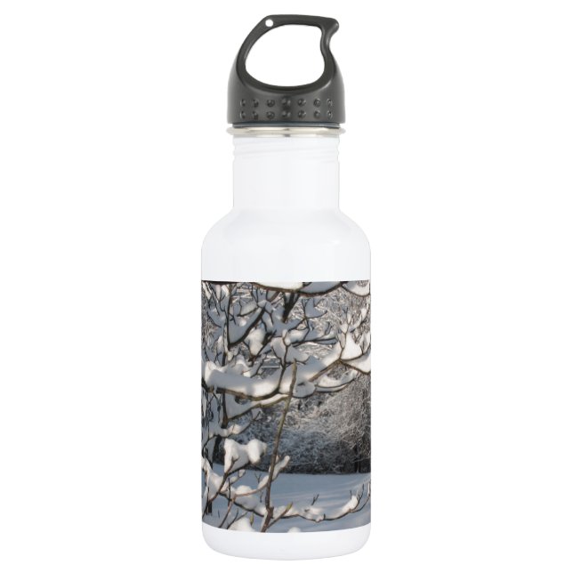 Winter Storm 532 Ml Water Bottle (Front)