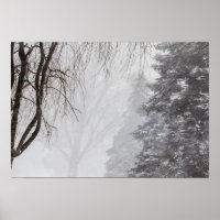 Winter storm, Ohio.
