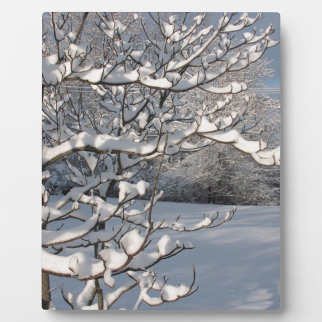 Winter Storm Plaque (Front)