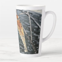 Winter Stream