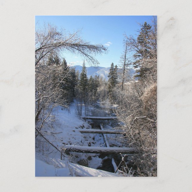 Winter Stream Postcard (Front)