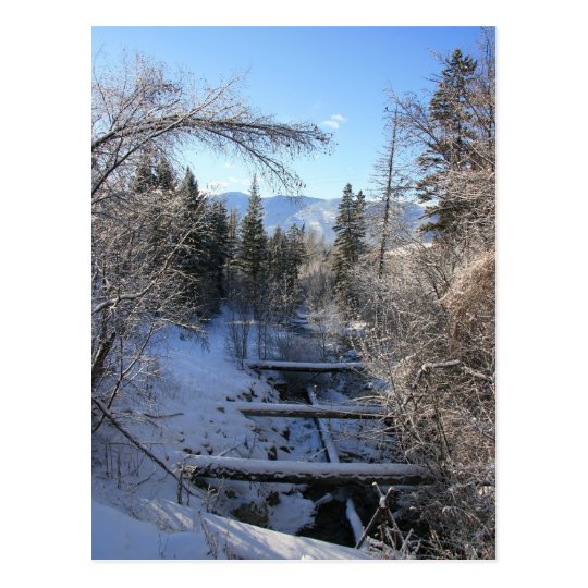 Winter Stream Postcard