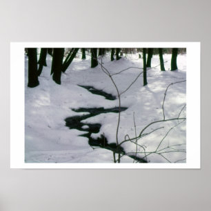 Winter Stream Poster