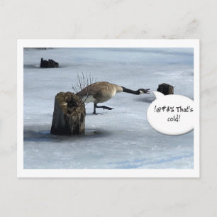 Winter sucks postcard