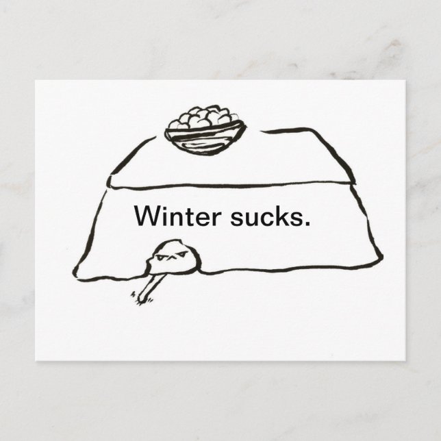 Winter sucks postcard (Front)