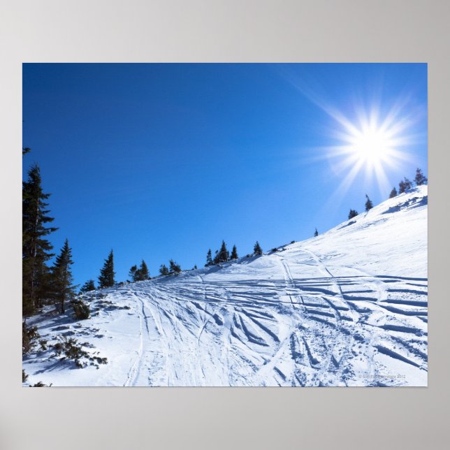 Winter sun 4 poster (Front)