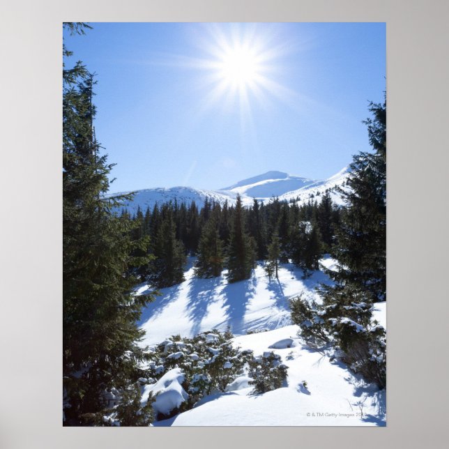 Winter sun 5 poster (Front)