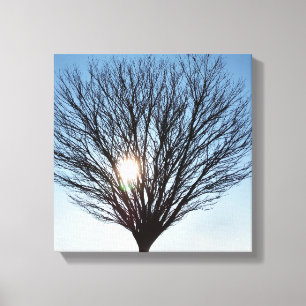 winter sun canvas print
